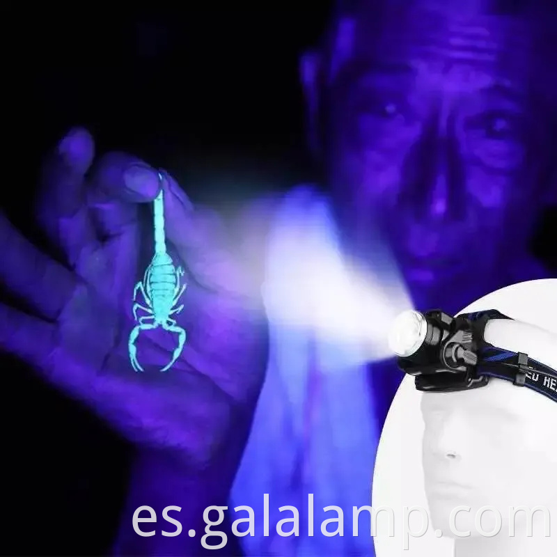 Faros UV recargables con 395 nm LED para pesca nocturna y caza de escorpiones